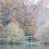 le petit pont de bois qui ne servait plus guère.....