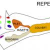 Le plan du site