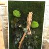Tableau végétal stabilisé
