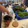 Atelier terrariums