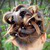 Chignon Jeune Fille
