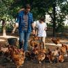 Visite de la ferme et de l'élevage de volailles fermières de la Ferme de la Chambrerie à Oucques la Nouvelles (41)