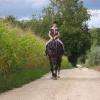 Location chevaux