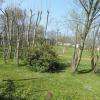 vue sur le jardin et le camping