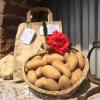 Vente de pommes de terre Agata, Chérie, Grenaille, Anabelle à la Ferme du Portail, à Mulsans (41)