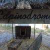 Lapinodrome