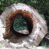 Tunnel pour enfants