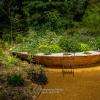 Jardin du festival - Le jardin du goût