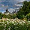 Jardin du festival