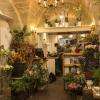 Fleuriste Montpellier