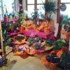plantes