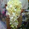 Bouquet en grappe