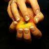 styliste ongulaire tarbes