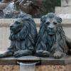l'un des couples de lions ornant le bassin
