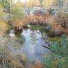 La Mare aux Biches