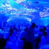 instalateur-son-lumiere-toulouse
