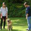 Une fois le lien avec le chien rapidement établi, je guide le maitre afin qu'il tisse lui aussi cette relation avec son compagnon pour une parfaite harmonie