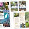 Mise en pages de plusieurs ouvrages sur les plantes médicinales de Madagascar et ed Mongolie pour l'association humanitaire " Jardins du monde ".