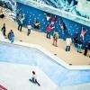 Le Playground : Le parc à skate
