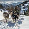 Reportage réalisé pendant l'hiver 2014 pour la site de ski de fond de La Bresse