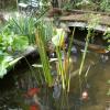 Mon bassin 