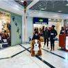 loisir enfant dans un centre commercial