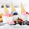Desserts glacés artisanaux à Droué (41), Gaec la Pierre Cochée, à Droué (41)