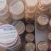 Plus de 40 parfums de crèmes glacées au Gaec La Pierre Coché, à Droué (41)