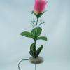 Soli-flore en galets