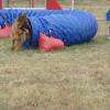 stage agility