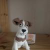 Le doudou Alex le Jack Russell sera l’animal de compagnie de votre enfant.
Il sera un consolateur, celui qui écoute tout ce que votre enfant a sur son cœur.
Alex le Jack Russell est réalisé en 100 % coton Aloe Véra (fibre naturelle)
Il se trouve en boutique
https://larcencieldeghis.com/produits/alex-le-jack-russell342/