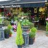 Gilles Sonnet Fleuriste