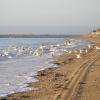 Hauteville sur mer, la plage