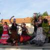 Tango flamenco