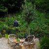 Le jardin arrière