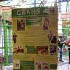 Panneau d'exposition.