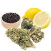 Fleur de cannabis CBD Lemon Haze (Indoor) 
