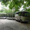 le petit train