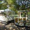 le petit train