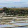Les marais salants et la cité de Guérande à l'horizon