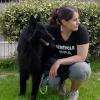 Harmonia Canis Comportementaliste en Ille et Vilaine, méthodes douces et respectueuses