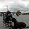 Harmonia Canis Comportementaliste en Ille et Vilaine, méthodes douces et respectueuses
