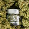High Society CBD Arles