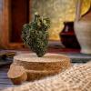 High society CBD Arles fleur 
