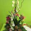 Crédit photo : page facebook, Histoire De Fleurs