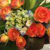 Crédit photo : page facebook, Histoire De Fleurs