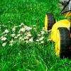 home et cars jardinage
