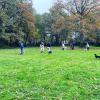 Cours collectif
