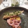 tartare de thon
