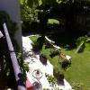 Le jardin interieur